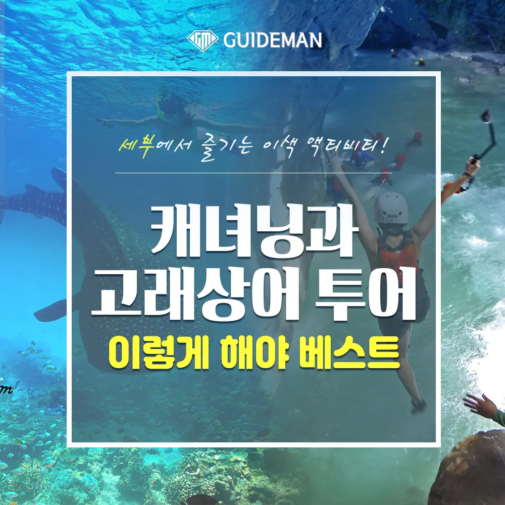 세부캐녀닝과 고래상어 투어 이렇게 해야 베스트