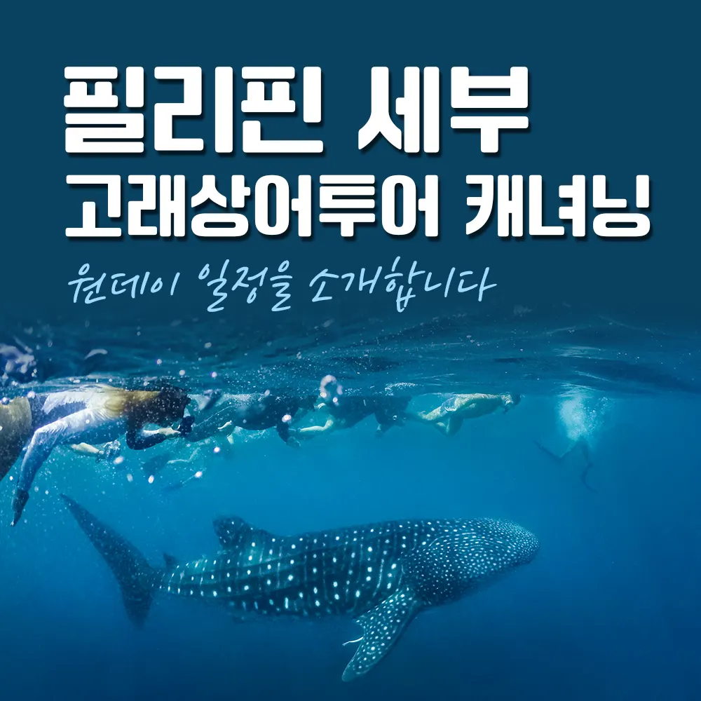 세부 고래상어투어 캐녀닝 원데이 일정을 소개합니다