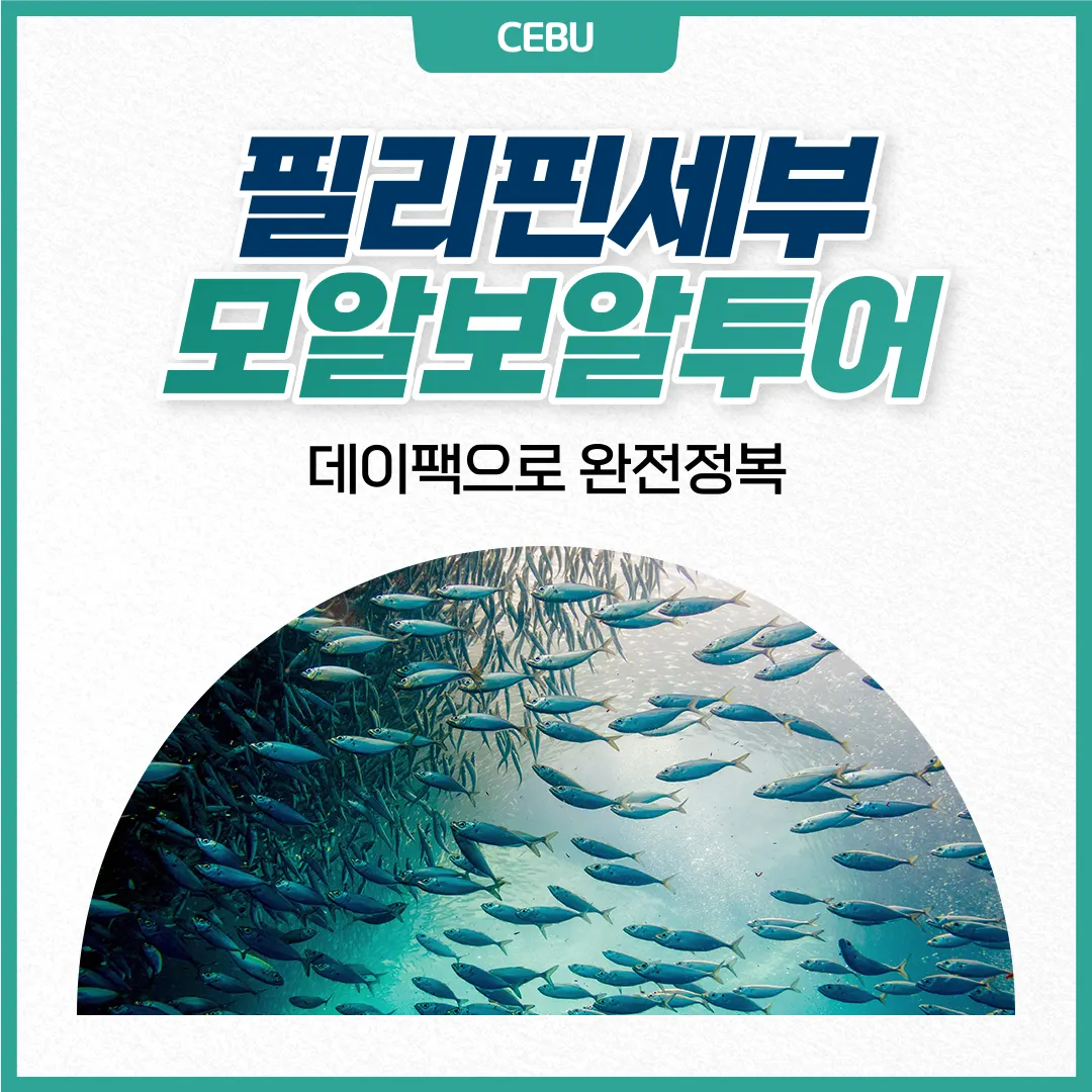 필리핀 세부 모알보알투어 데이팩으로 완전 정복