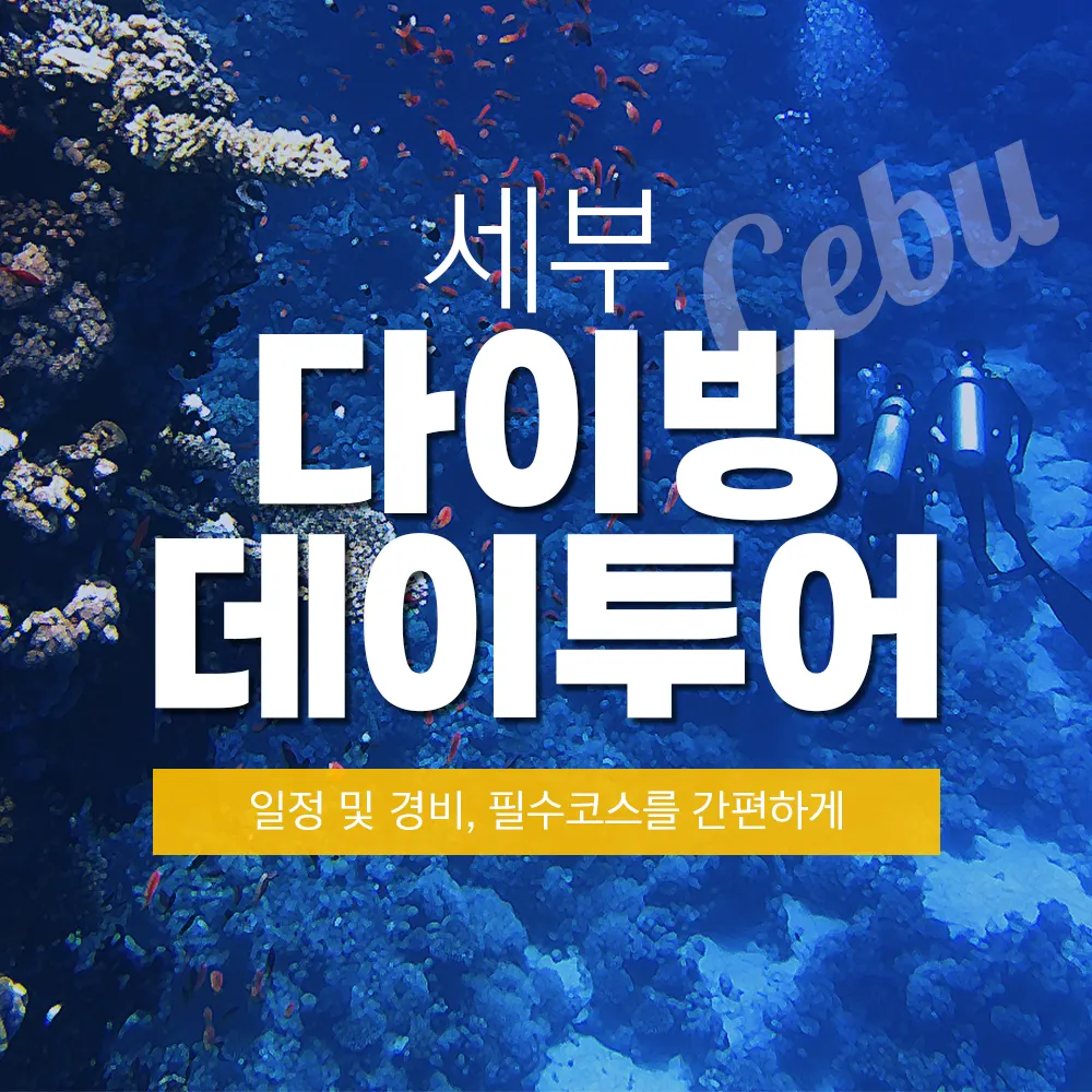 세부 다이빙 데이투어 일정 및 경비 필수 코스를 간편하게