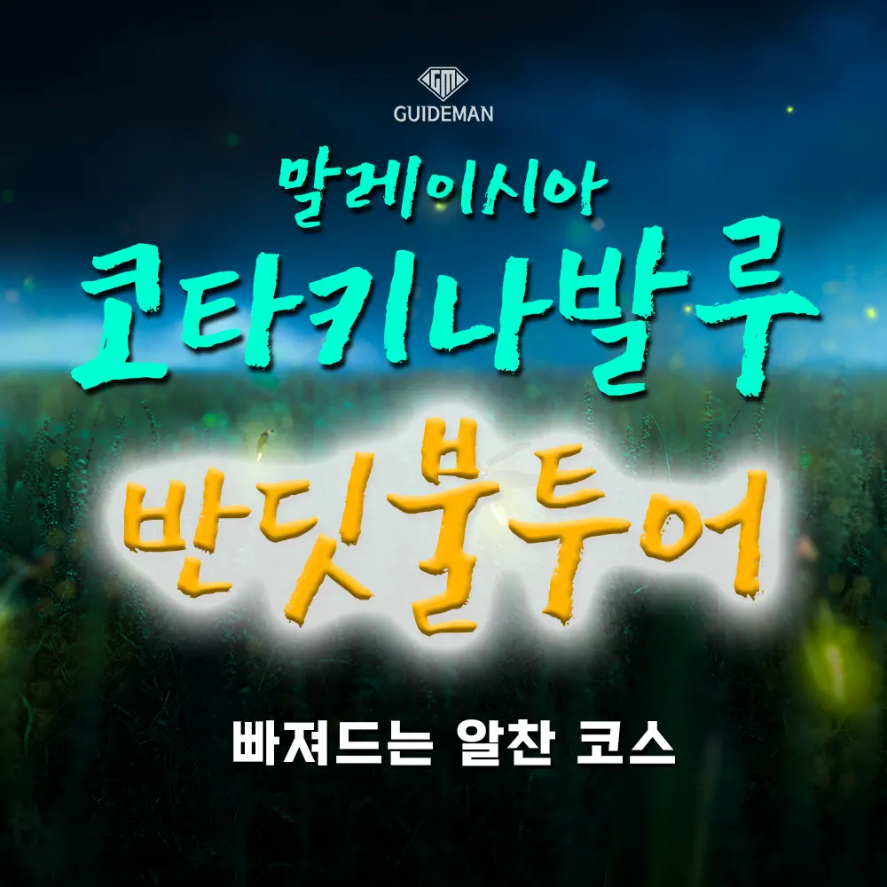 말레이시아코타키나발루 반딧불투어 빠져드는 알찬 코스