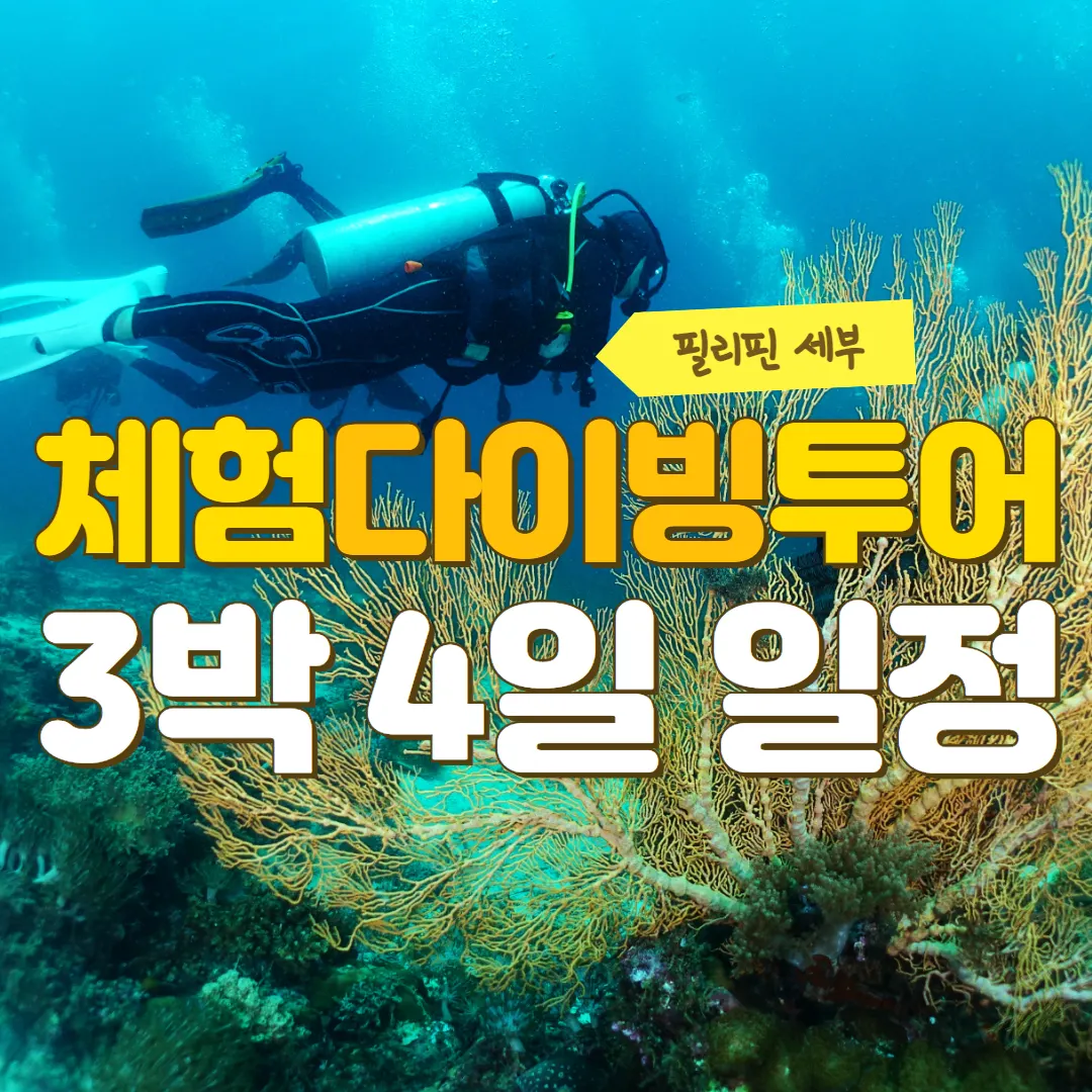 필리핀 세부 체험다이빙투어 포함된 3박 4일 일정