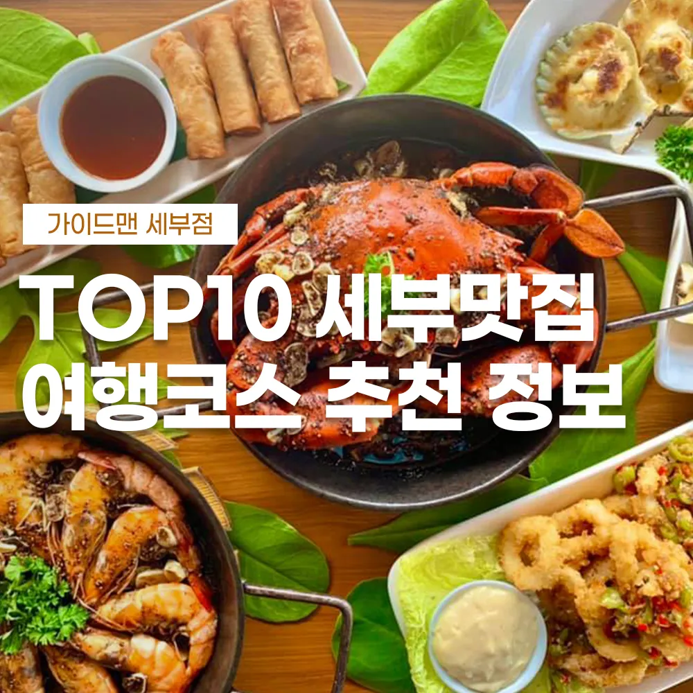 TOP10 세부맛집 여행코스 추천 정보