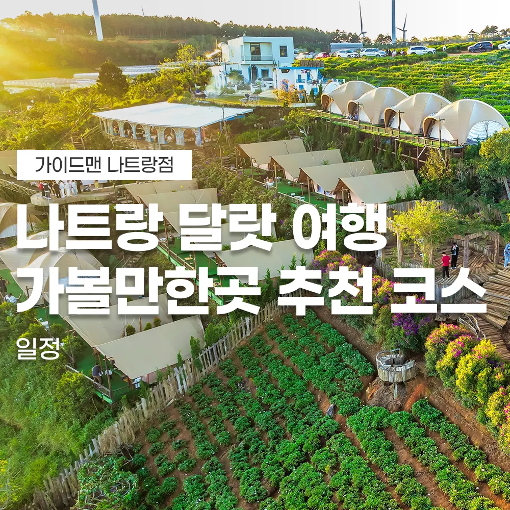 나트랑 달랏 여행 가볼만한곳 추천 코스 일정