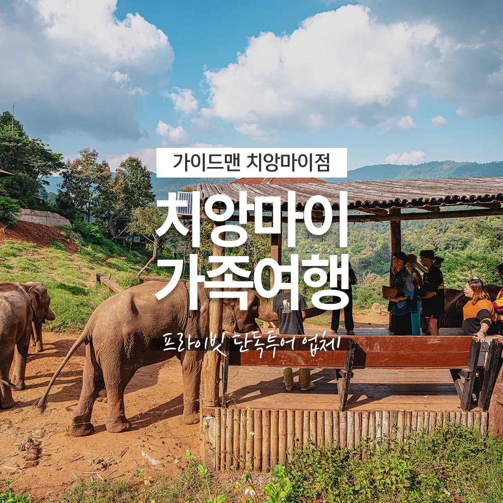 치앙마이 가족여행 프라이빗 단독투어 업체