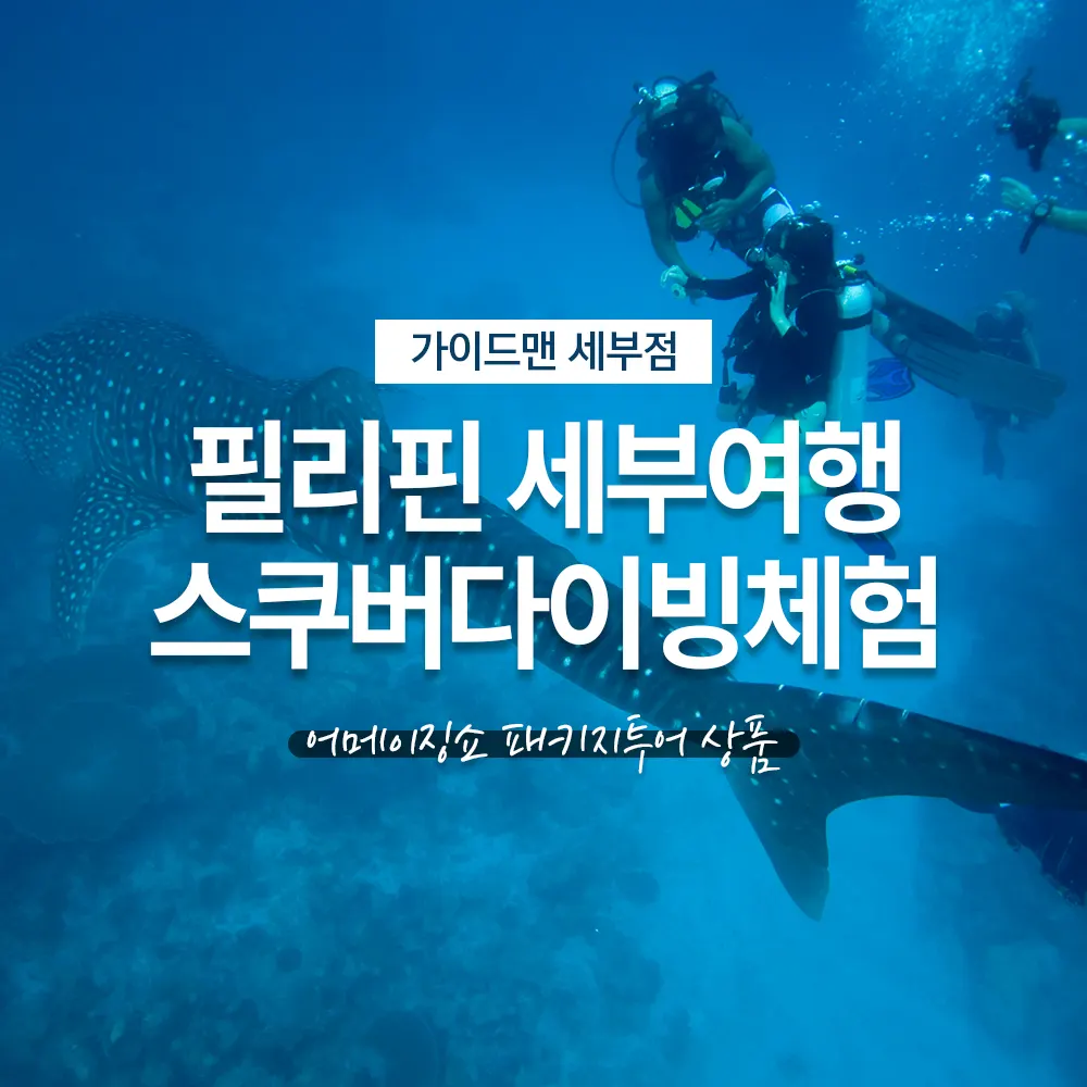 필리핀 세부여행 스쿠버다이빙체험 어메이징쇼 패키지투어 상품