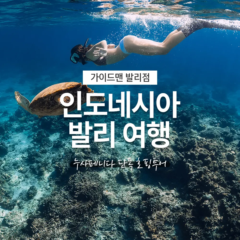 인도네시아 발리 여행 누사페니다 단독 호핑투어
