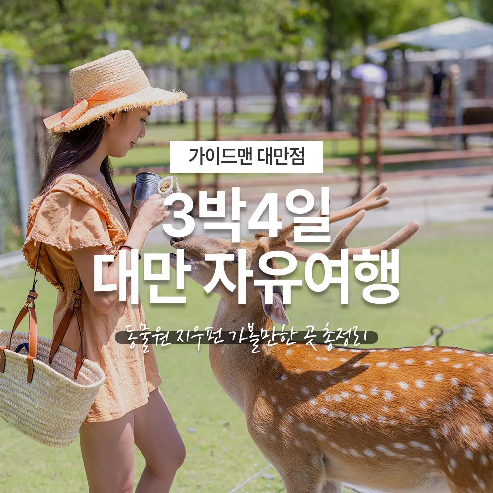 3박4일 대만 자유여행 동물원 지우펀 가볼만한 곳 총정리