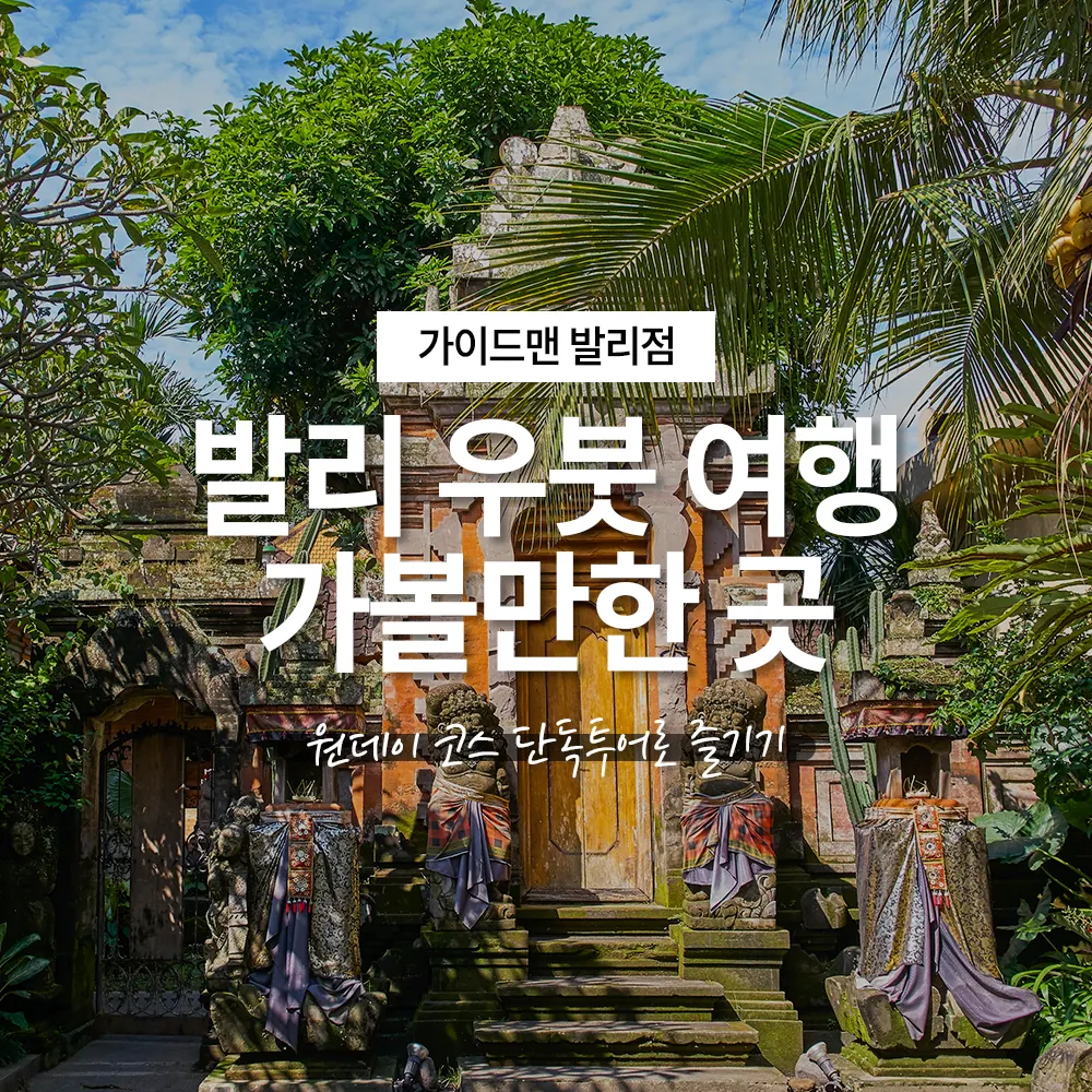 발리 우붓 여행 가볼만한곳 원데이 코스 단독투어로 즐기기