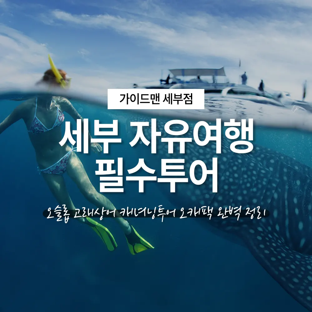 세부 자유여행 필수투어 오슬롭 고래상어 캐녀닝투어 오캐팩 완벽 정리