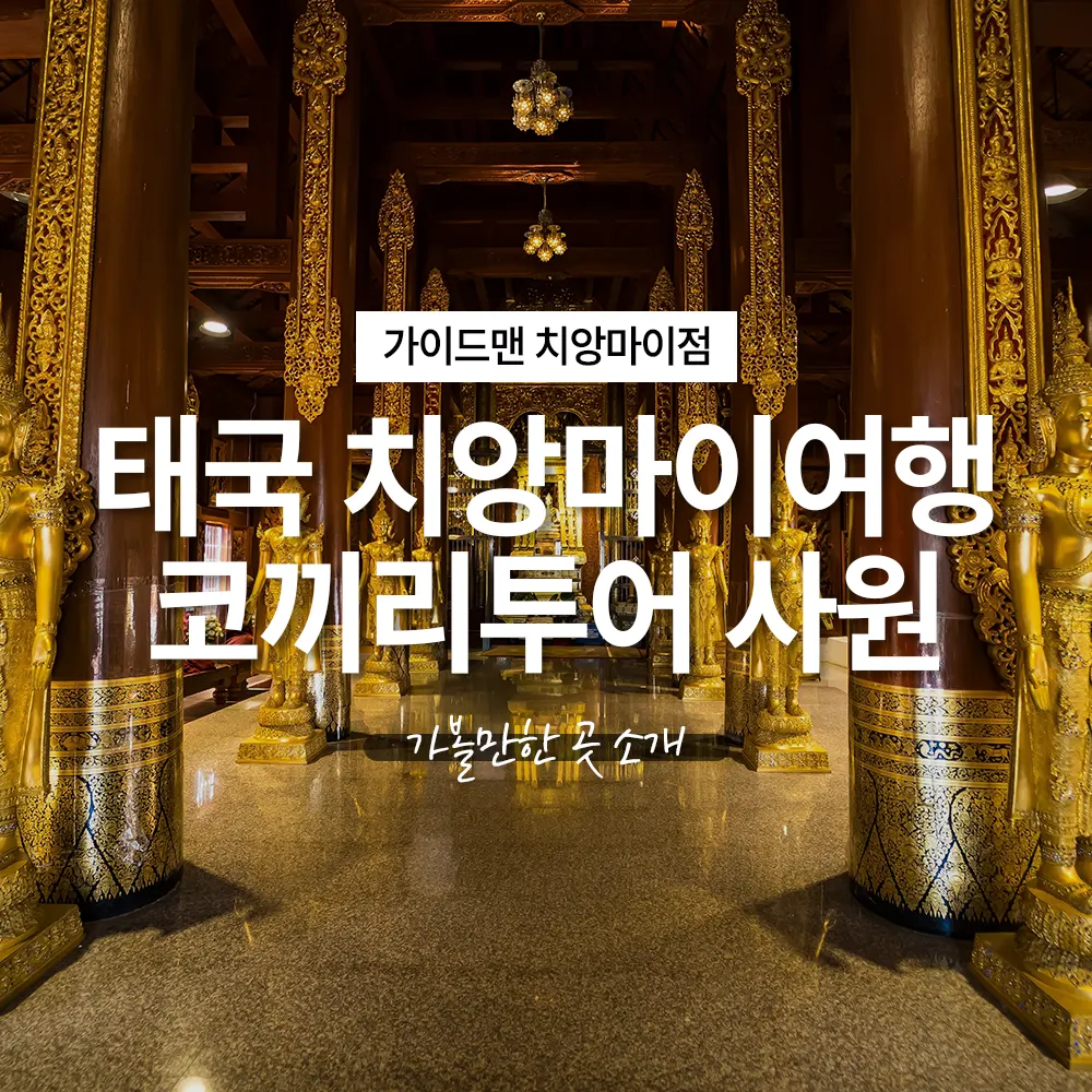 태국 치앙마이여행 코끼리투어 사원 가볼만한 곳 소개