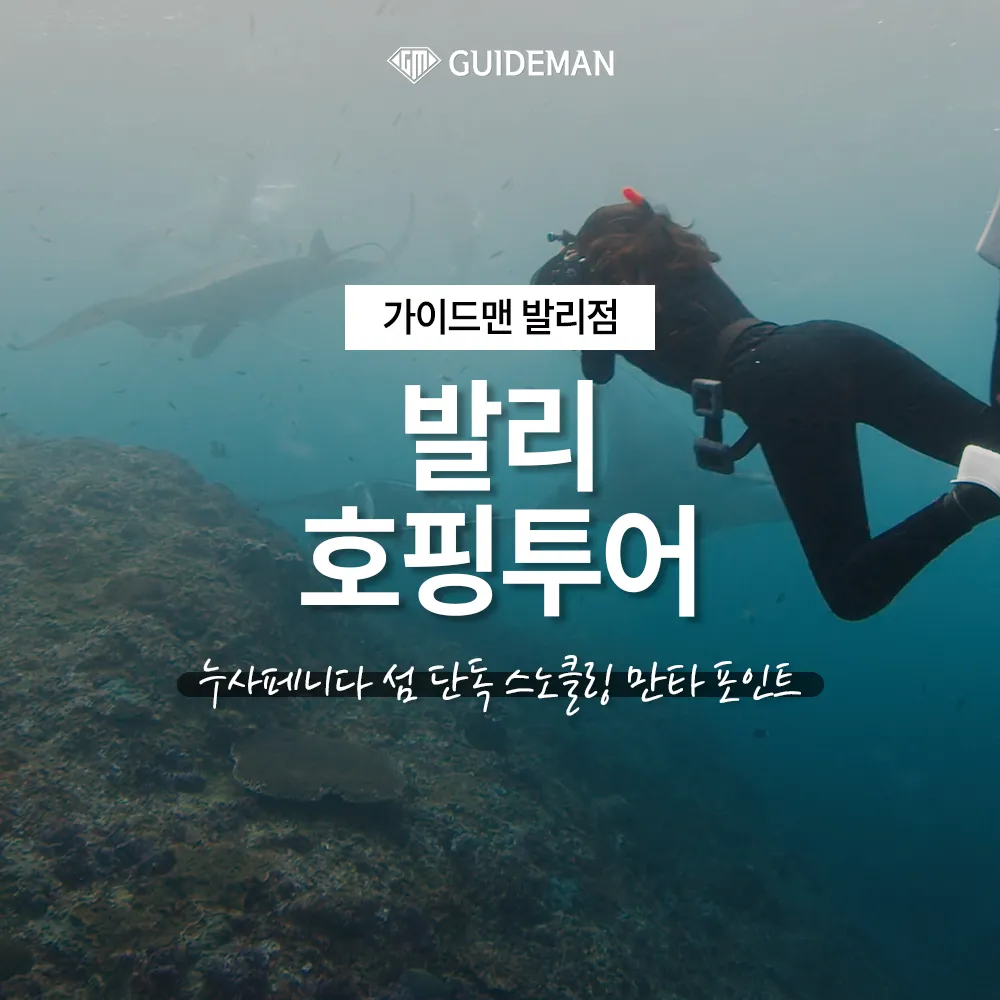 발리여행 호핑투어 누사페니다 섬 단독 스노클링 만타 포인트