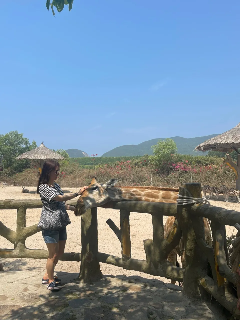 [나트랑] 나트랑여행