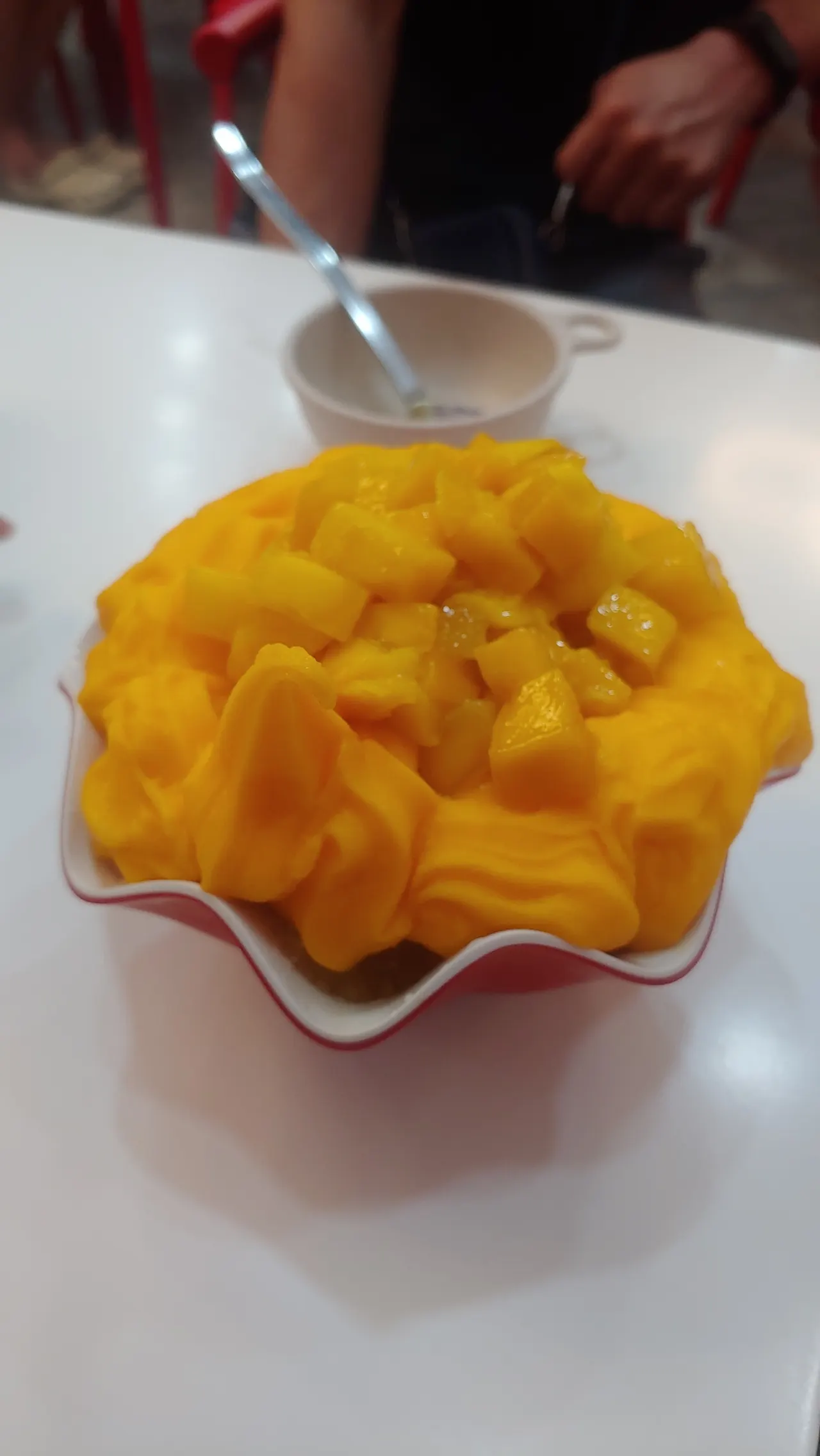 [보홀] 즐거운 보홀여행~~^^