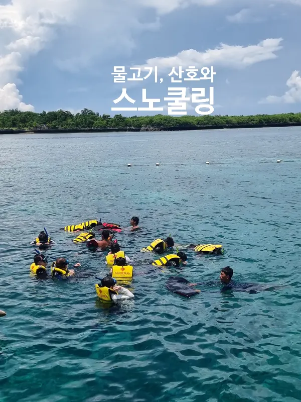 [세부] 대학교 동기들과의 잊지 못할 추억을 만든 여름 세부여행  with nadia, sha 가이드님 ><