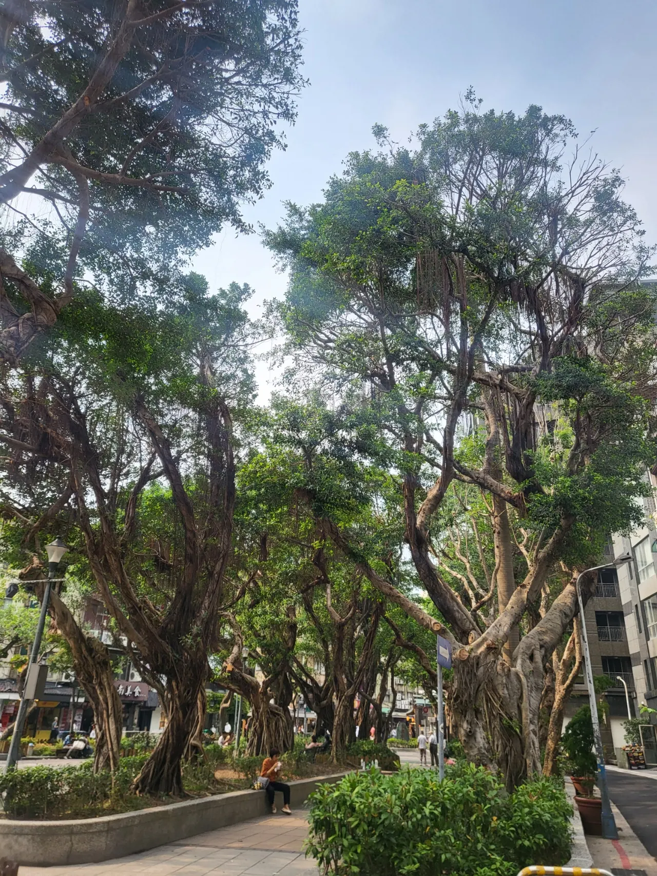 [대만] 마리오 가이드님과 함께한 4/3 - 4/6 3박4일 대만 타이베이 여행후기
