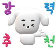 [보홀] 생각보다 훨~씬 알차고 즐거웠던 보홀 워크샵 [자레드 가이드님⭐]