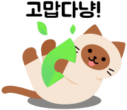[다낭] 3박5일 다낭팩은 똑띠.야무쟁이 민안가이드님과.