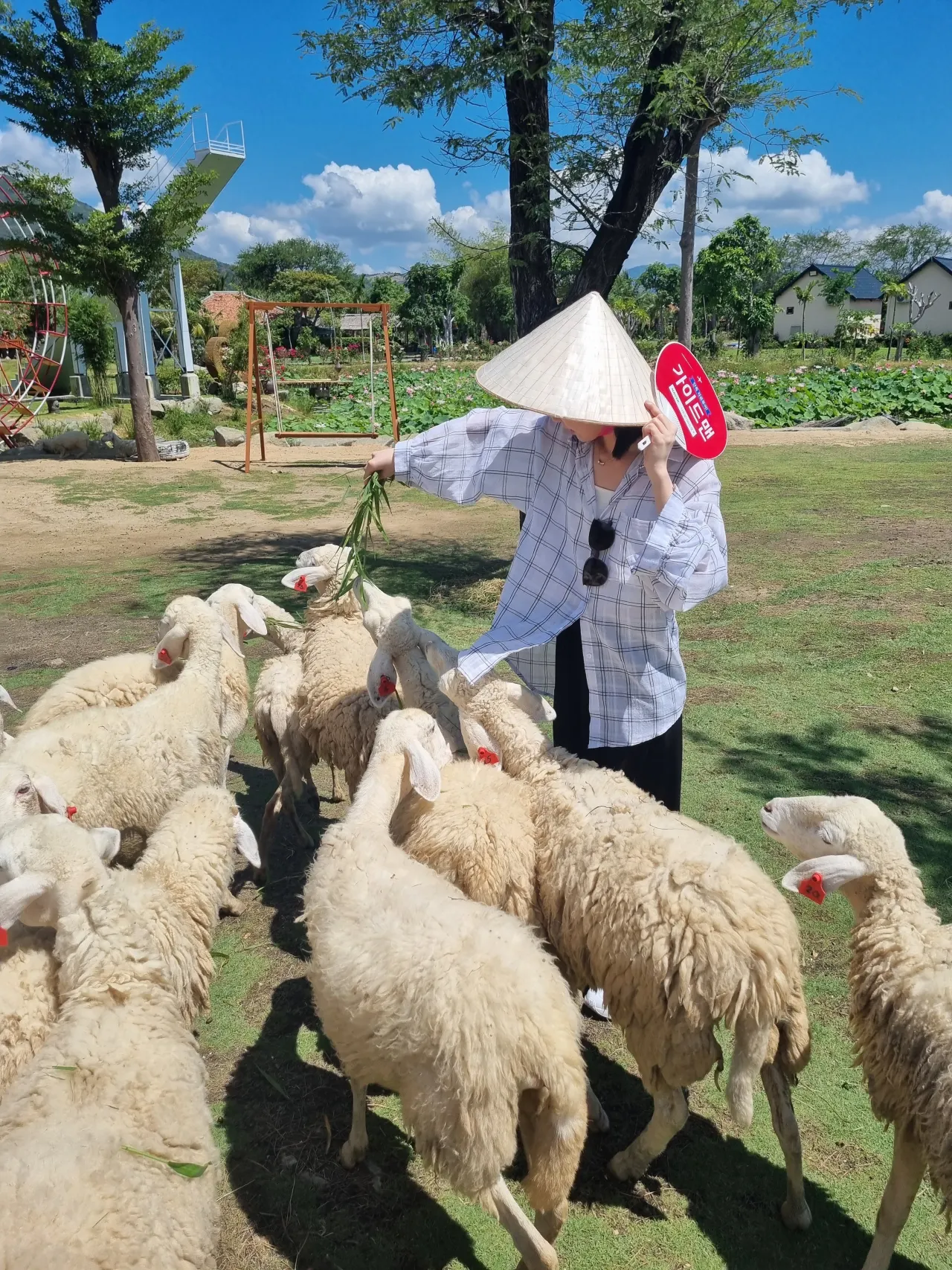 [나트랑] 나트랑3박5일