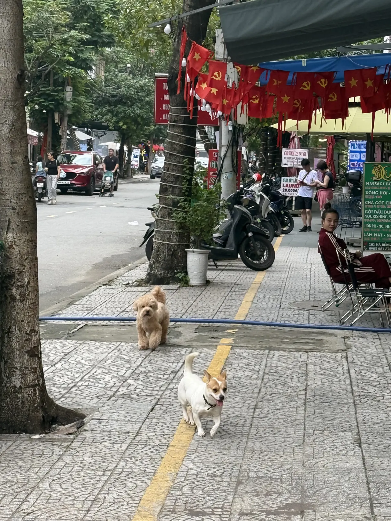 민재 가이드님과 즐거운 부모님과 여행