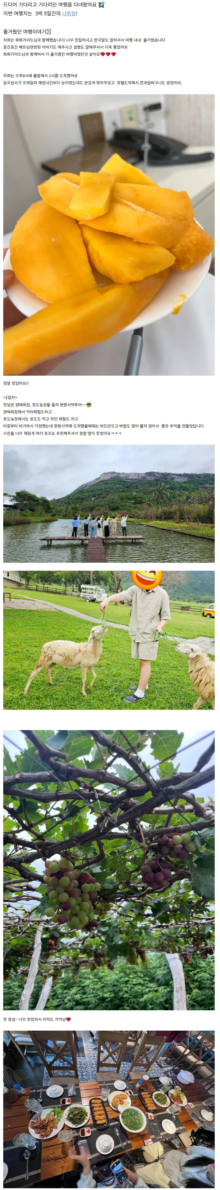 화화가이드님과 나트랑 여행
