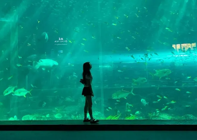 [여행후기  ] ♥♡은아님과 함께한 4박6일 성인4인 가족여행 ♡♥